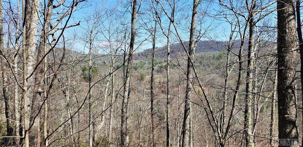 Lot 272 Audubon Trail - Photo 1