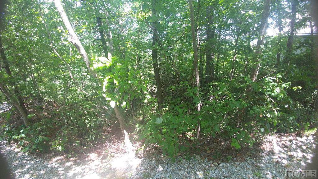 133 Deer Run - Photo 1