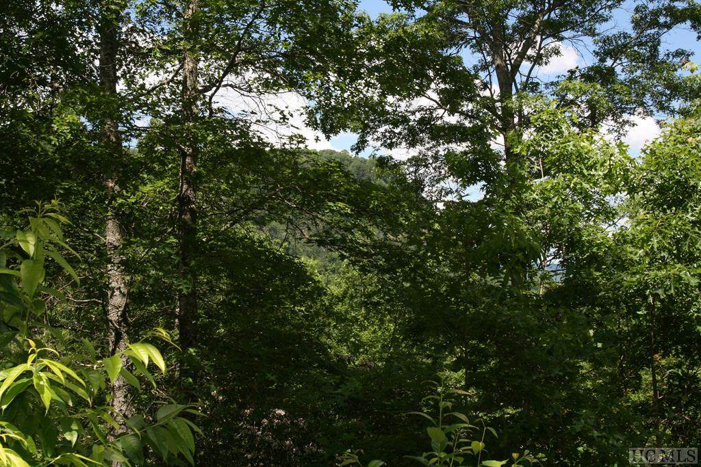 Lot 3 Ridgemont Road - Photo 1