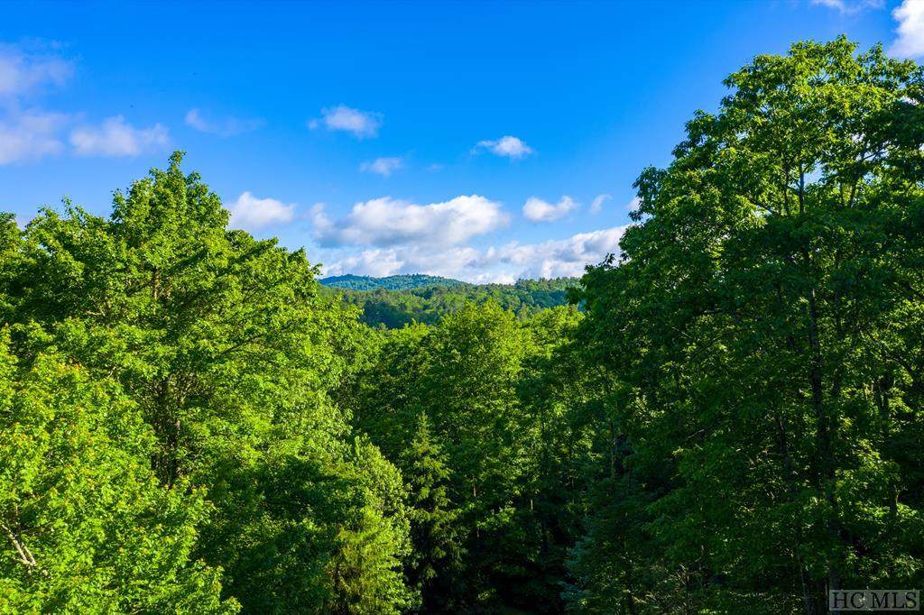 Lot 220 Highlands Cove Drive - Photo 1