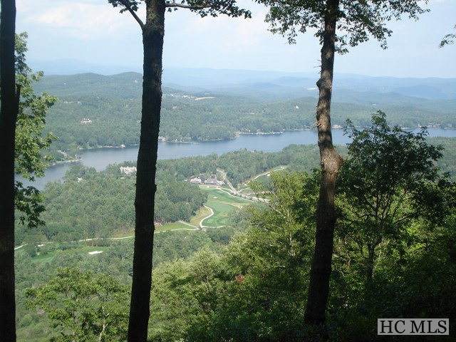 lot 20 Toxaway Cliff - Photo 1