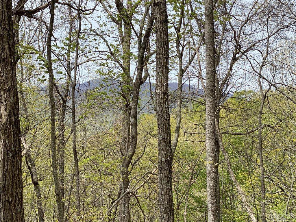 00 Haven Ridge Trail - Photo 1
