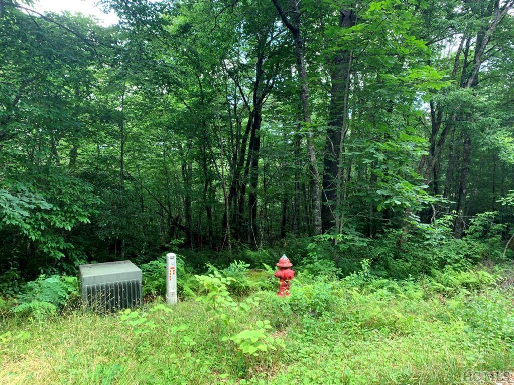 Lot 10 Sequoyah Woods Drive - Photo 1