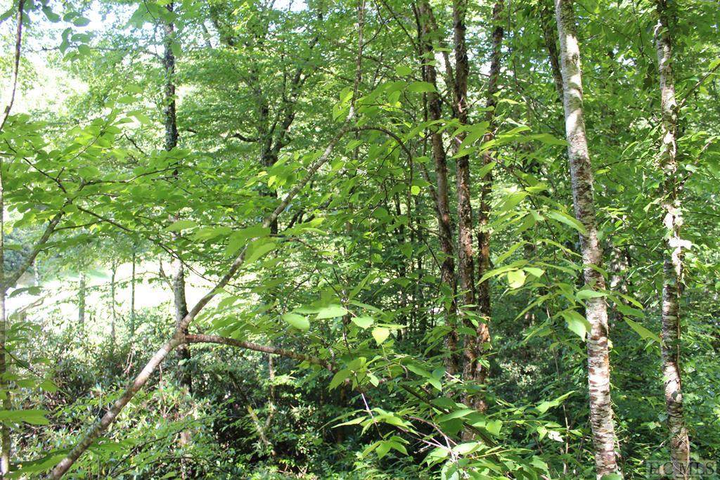 Lot 7 Falls Drive West - Photo 1