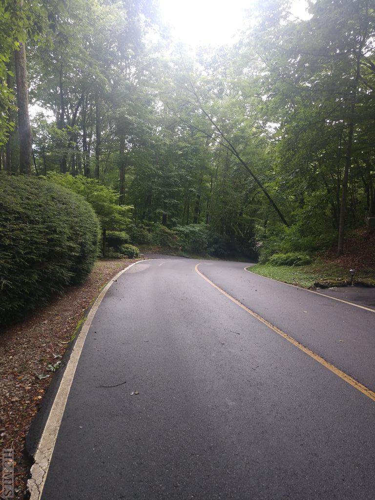 Lot 52 Black Oak Drive - Photo 1