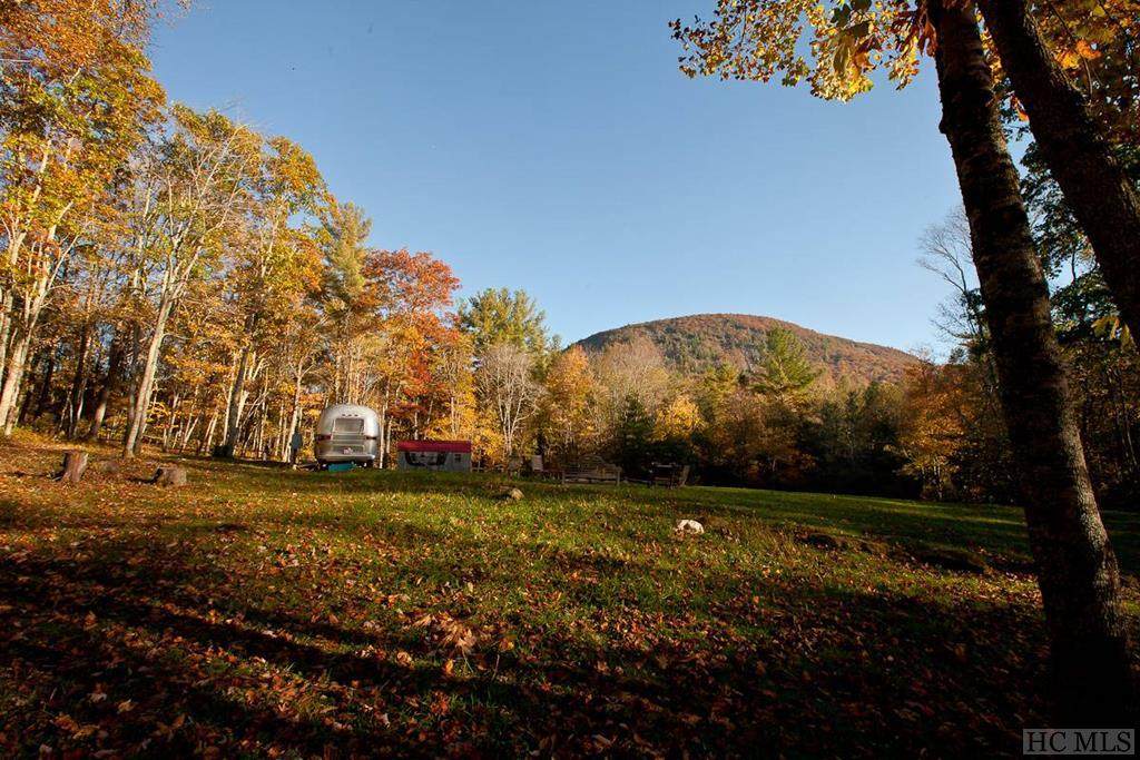 943 Shortoff Road - Photo 1