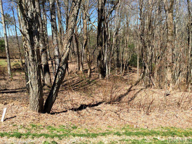 Lot 223 Dry Stack Way - Photo 1