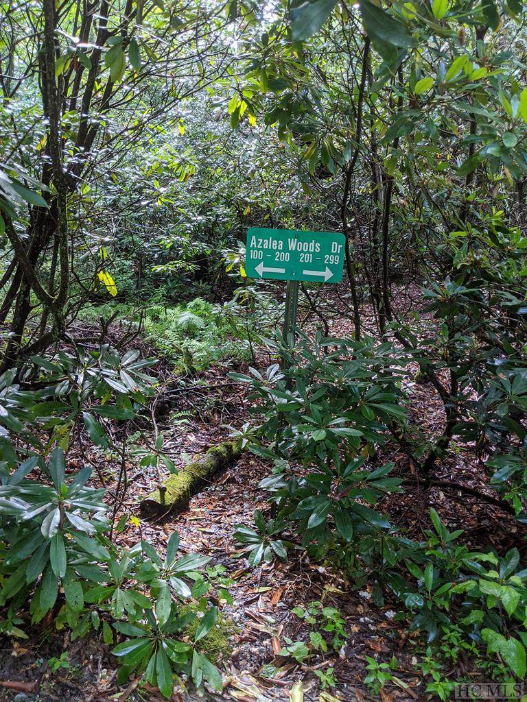 00 Azalea Woods Drive - Photo 1