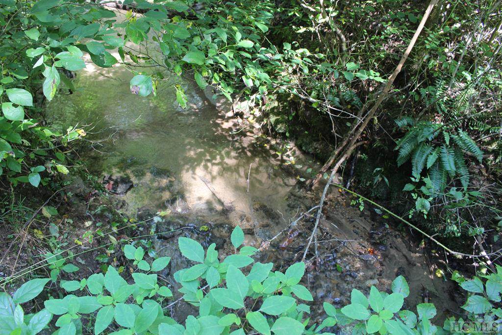 0 Little Creek Trail - Photo 1