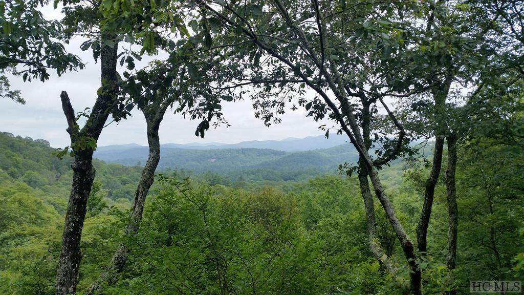 TBT Ravenel Ridge Road - Photo 1