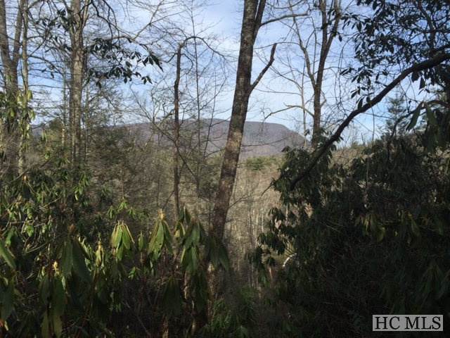 L257 Sunrise Ridge Court - Photo 1