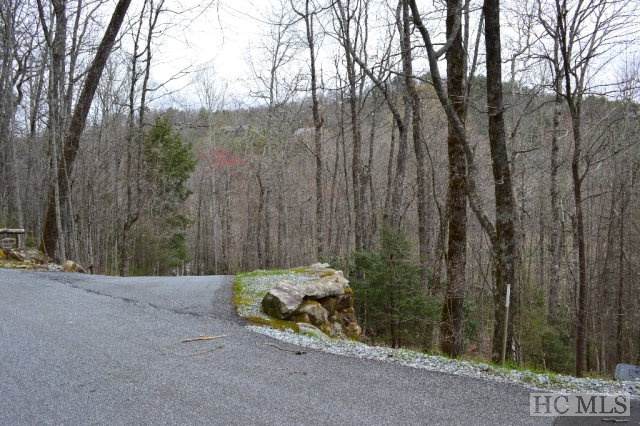 R-38 The Low Road - Photo 1