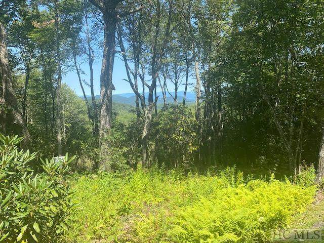 Lot B3 Sheer Rock Road - Photo 1
