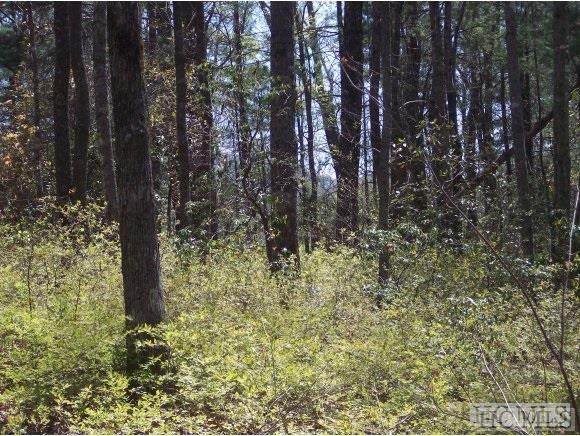 Lot 2REV Panther Ridge Road - Photo 1