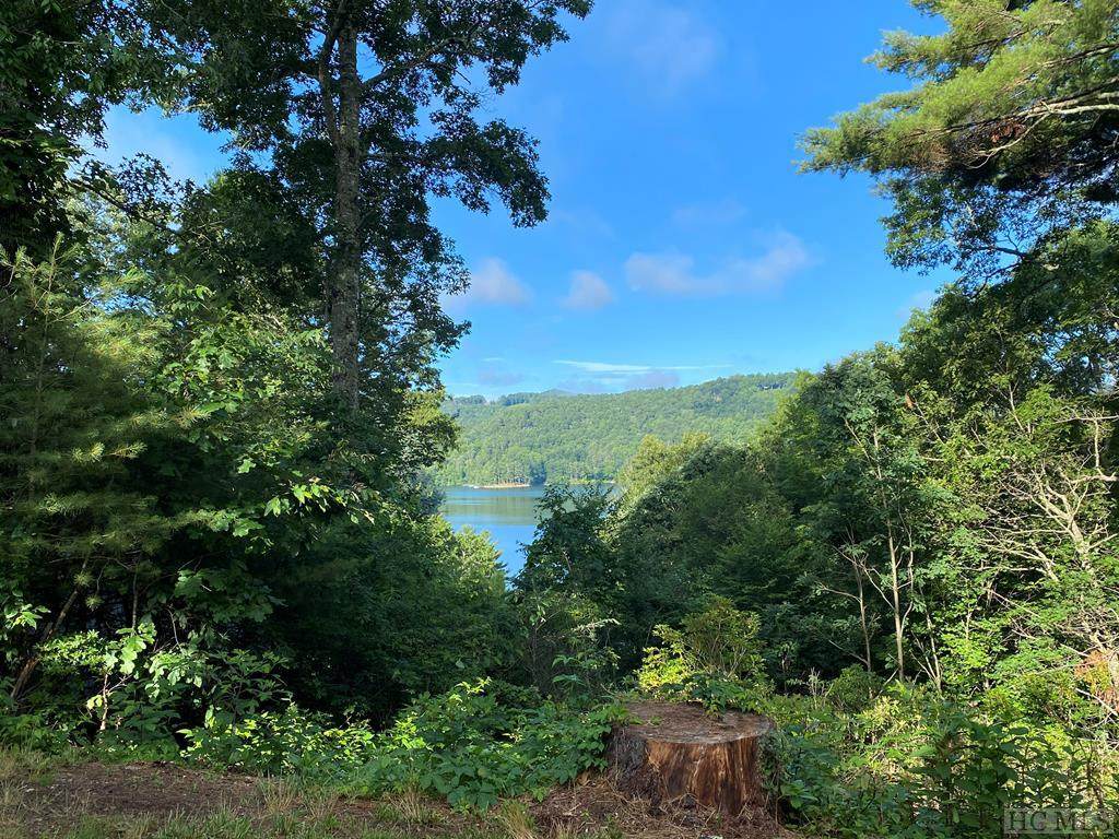Lot 3A Lakeview Cottage - Photo 1