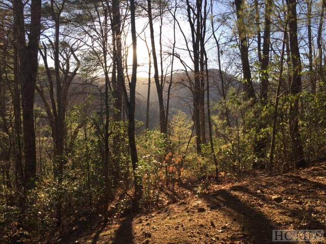 Lot 9 Gorge View - Photo 1