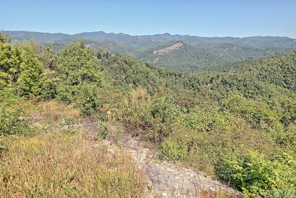 Lot 637 Steeplebush Court - Photo 1