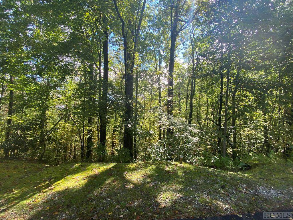 127 Deer Run Road - Photo 1