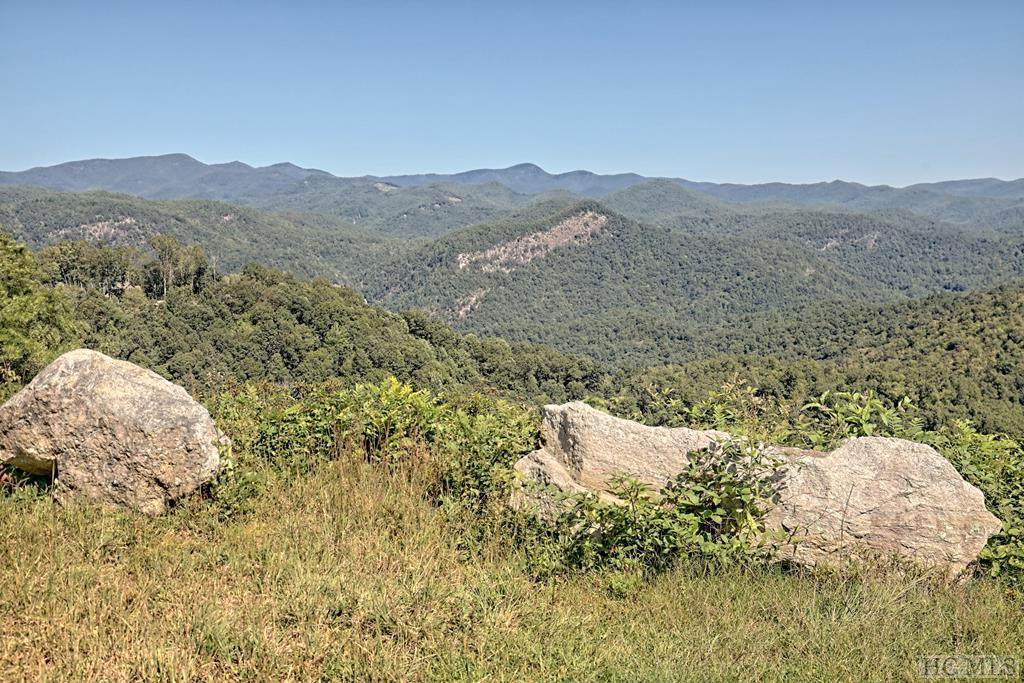 Lot 638 Steeplebush Court - Photo 1