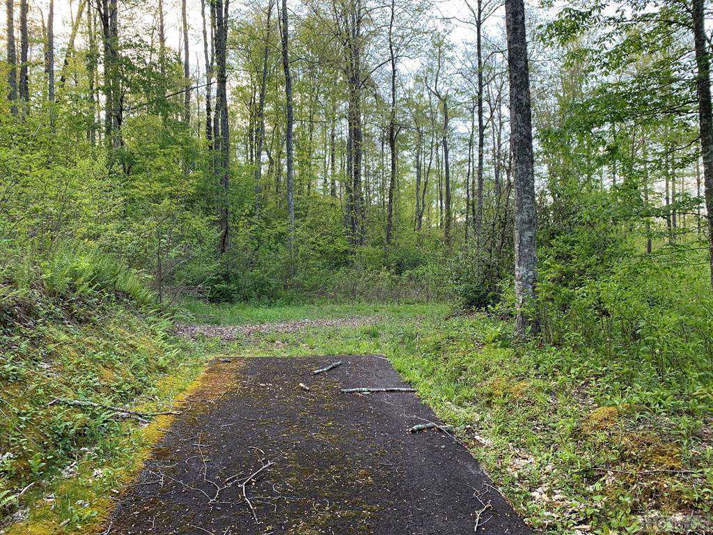 Lot 41 Sims Valley Road - Photo 1