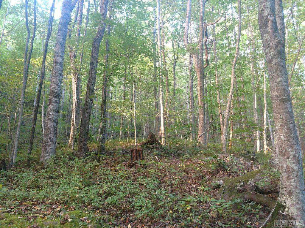 Lot 25 Cherokee Trace - Photo 1