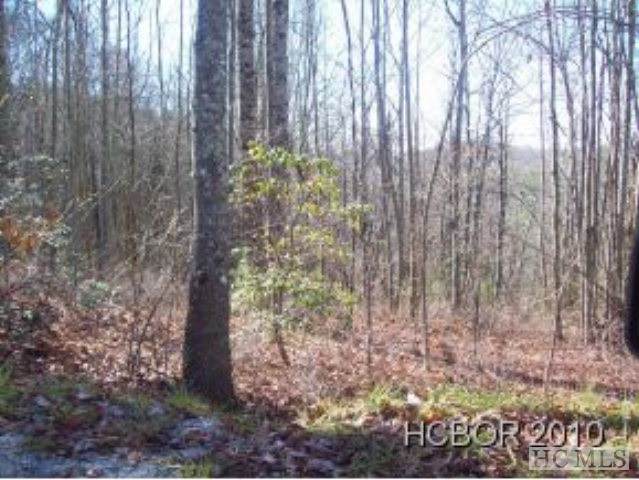 none Highland Gap Road - Photo 1