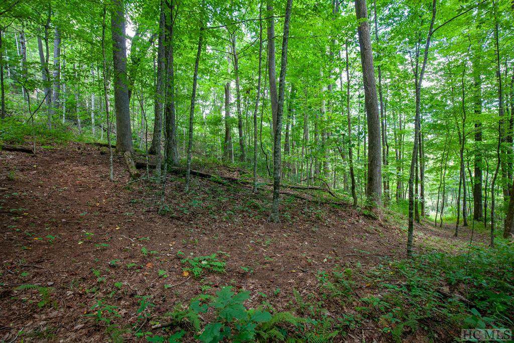 Lot 120 Lonesome Valley Rd - Photo 1