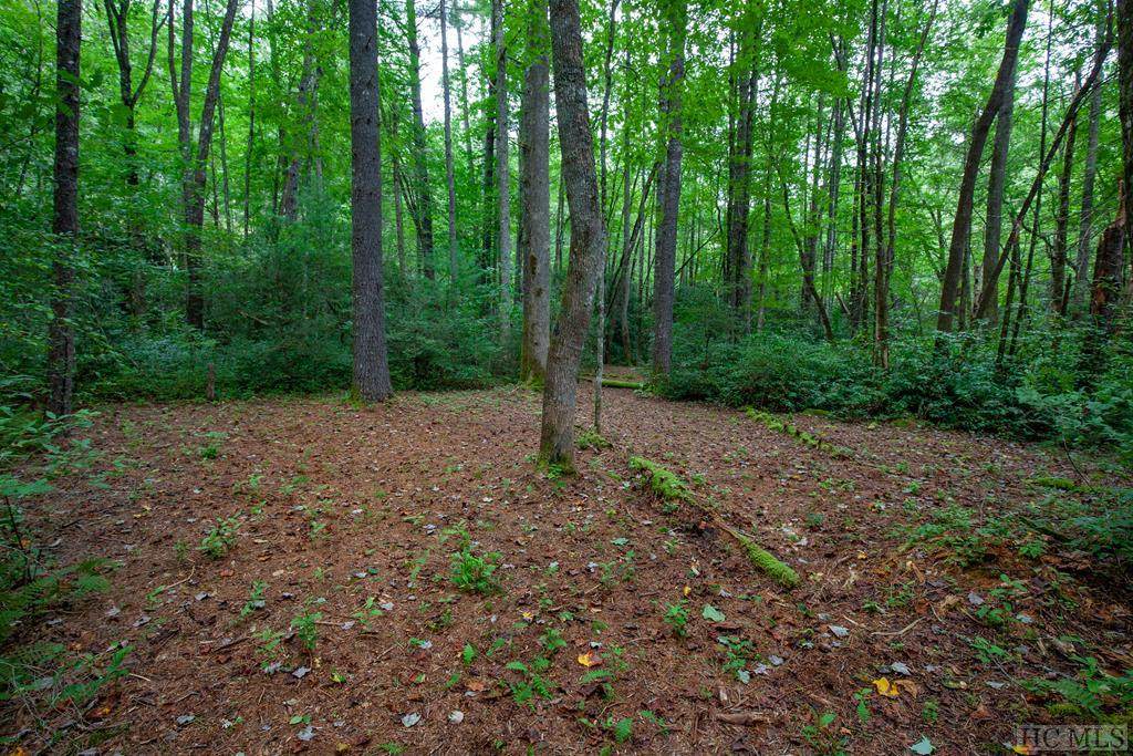 Lot 136 Lonesome Valley Rd - Photo 1