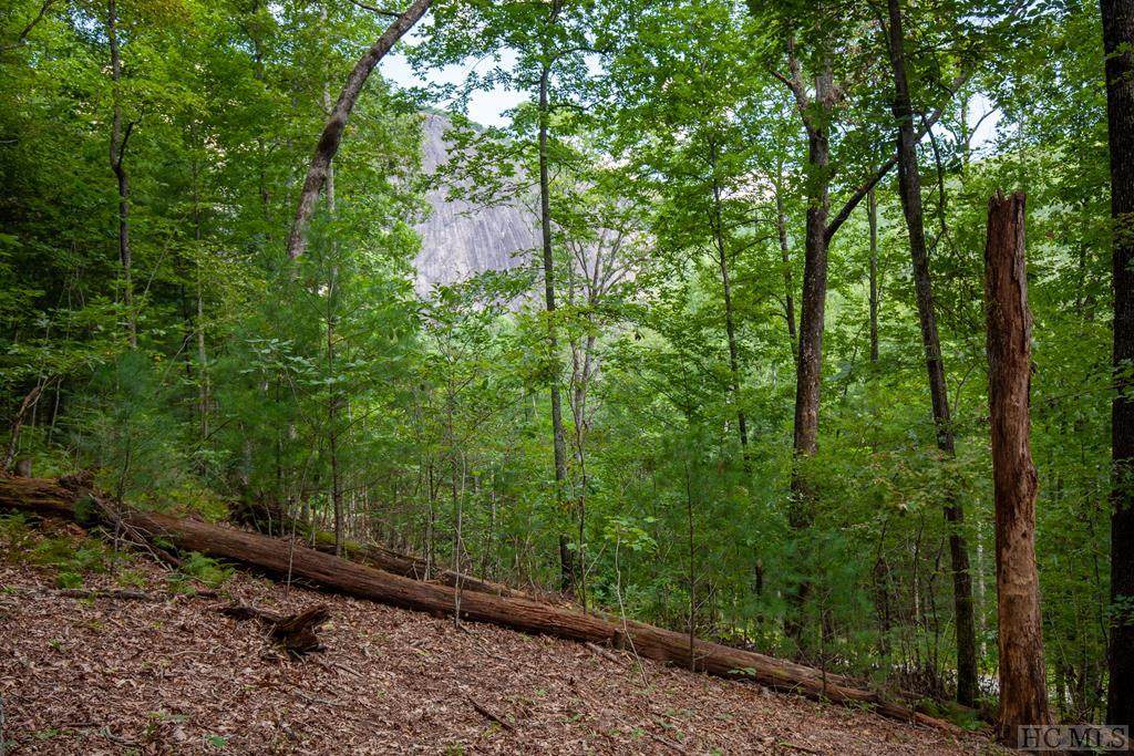Lot 144 Lonesome Valley Rd - Photo 1