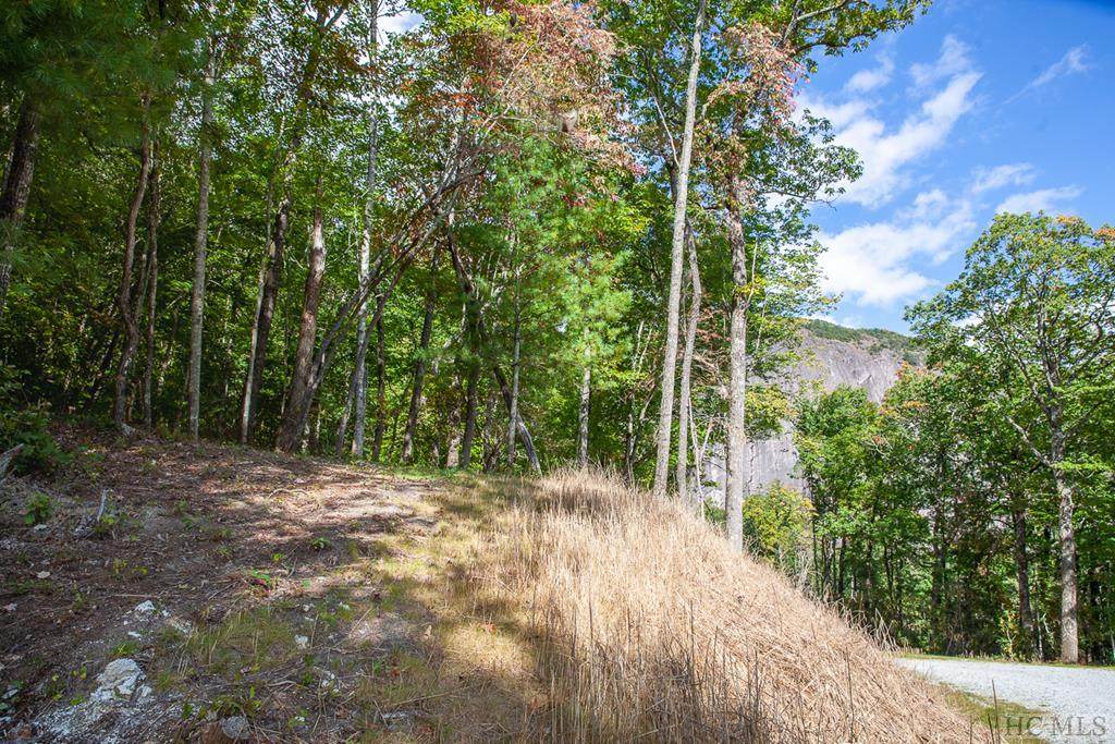 Lot 156 Lonesome Valley Rd - Photo 1