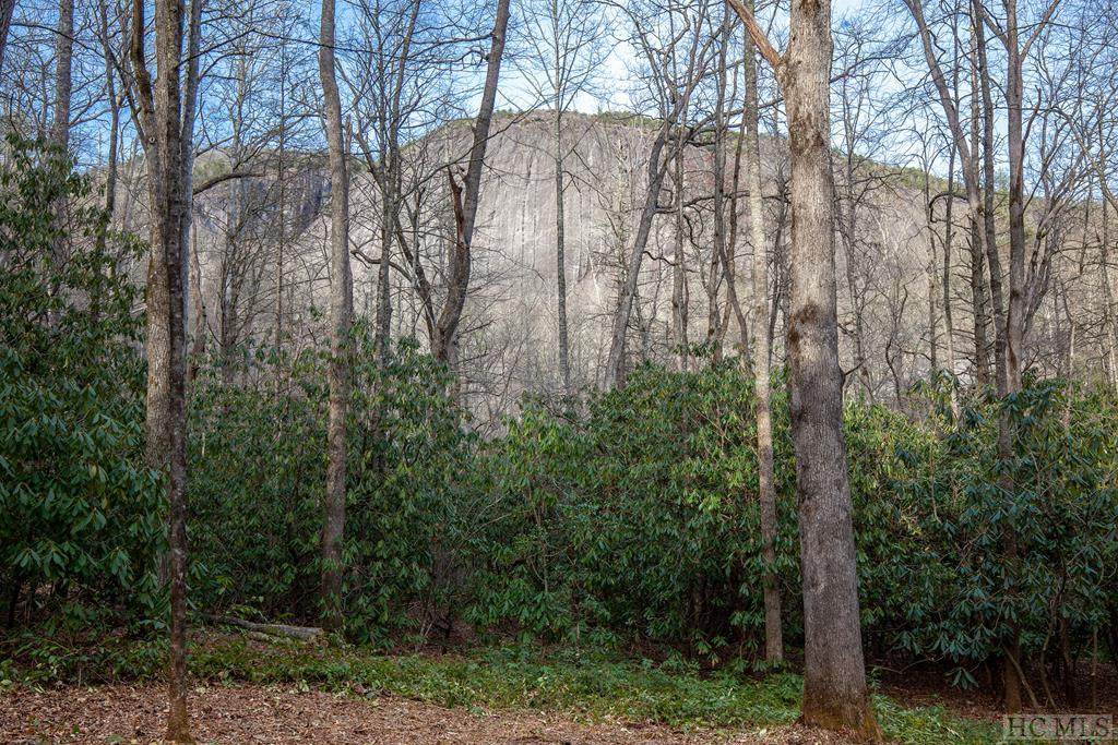 Lot 54 Lonesome Valley Rd - Photo 1
