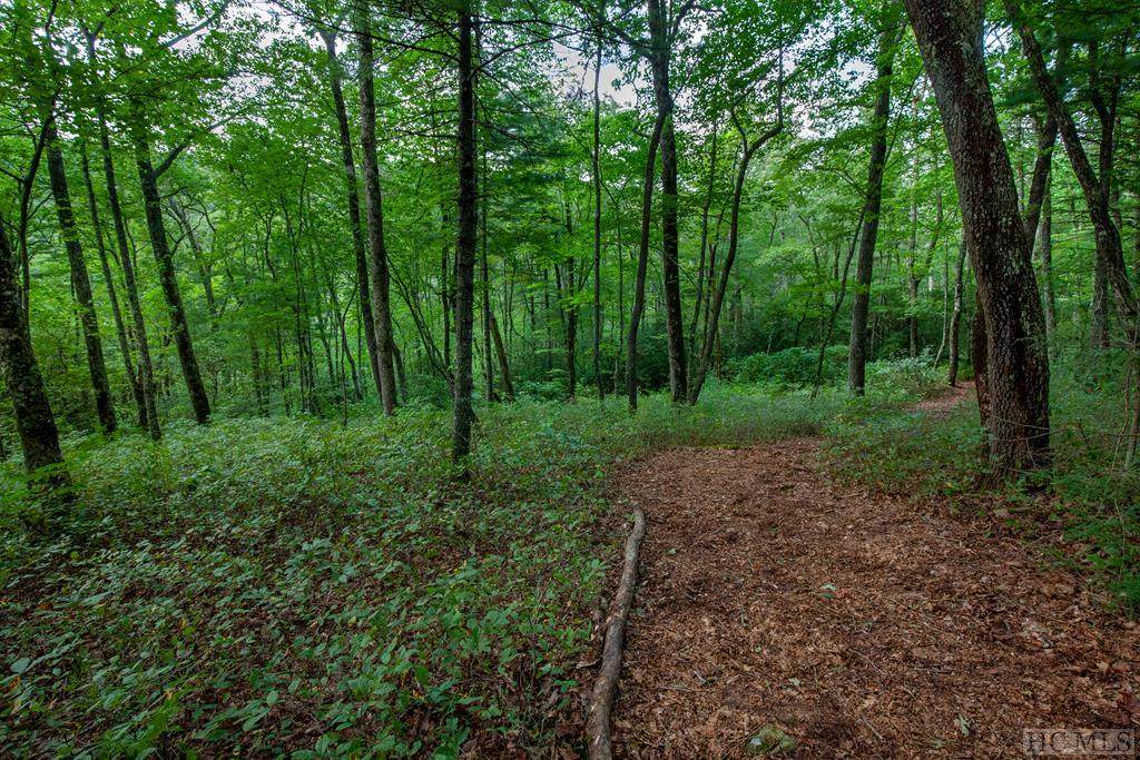 Lot 78 Long Lake Trail - Photo 1