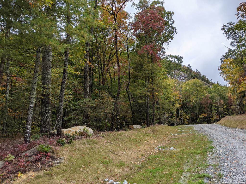Lot 157 Lonesome Valley Rd - Photo 1