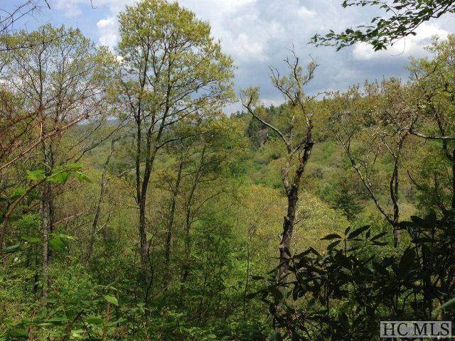 45 & 48 Satulah Ridge Road - Photo 1