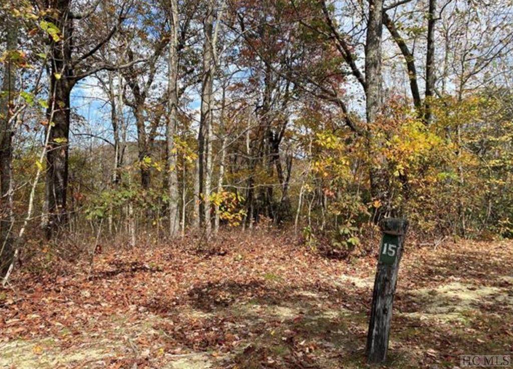 L15 Meadow Ridge - Photo 1