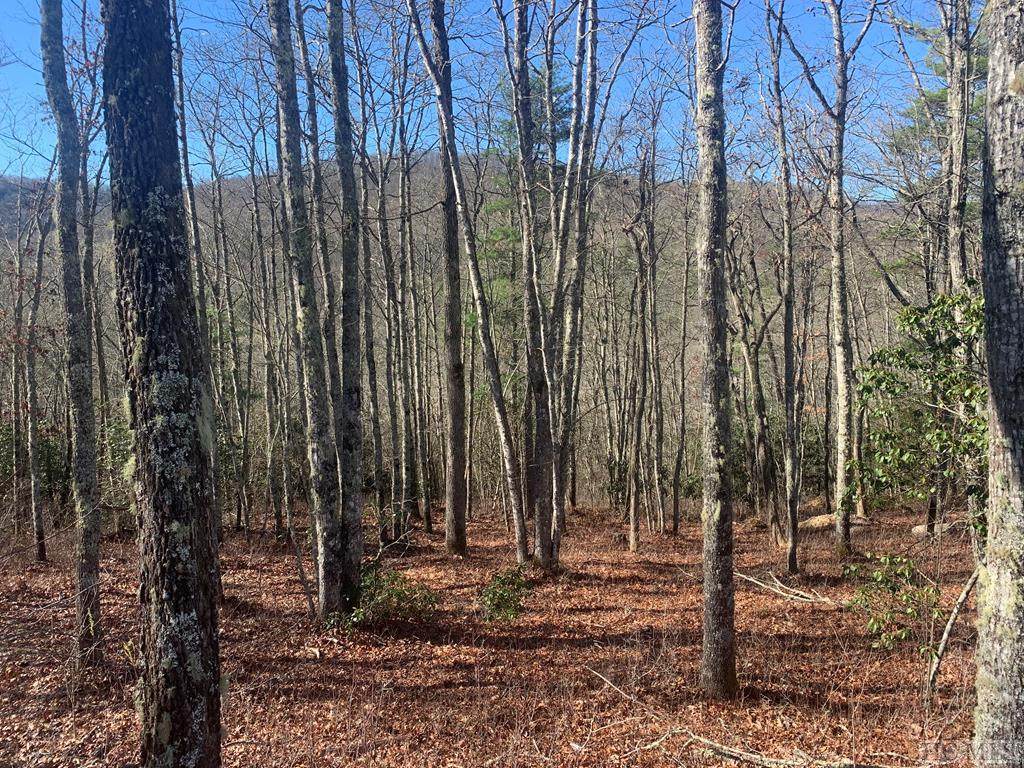 Lot 107 Crippled Oak Trail - Photo 1
