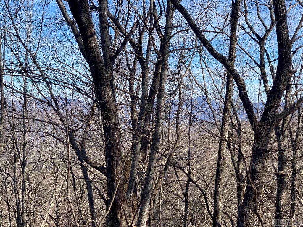 Lot 5 Buffalo Mountain Road - Photo 1