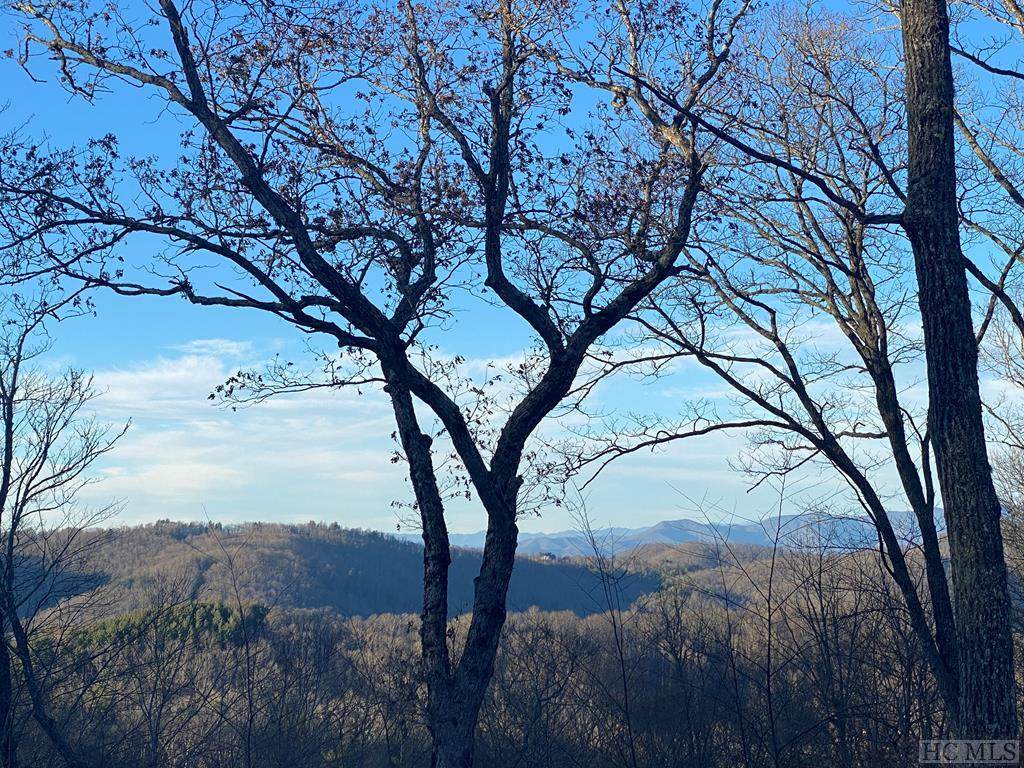 Lot 19 Shepherds Gap Road - Photo 1