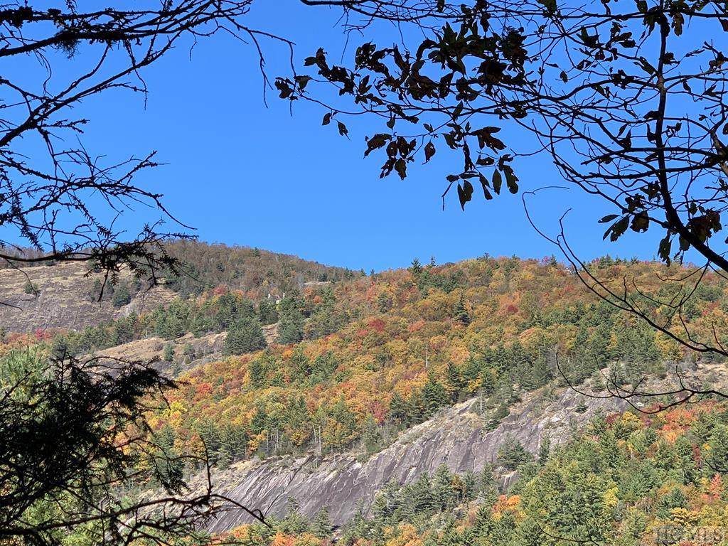 Pt Tr C Ruffed Grouse Road - Photo 1