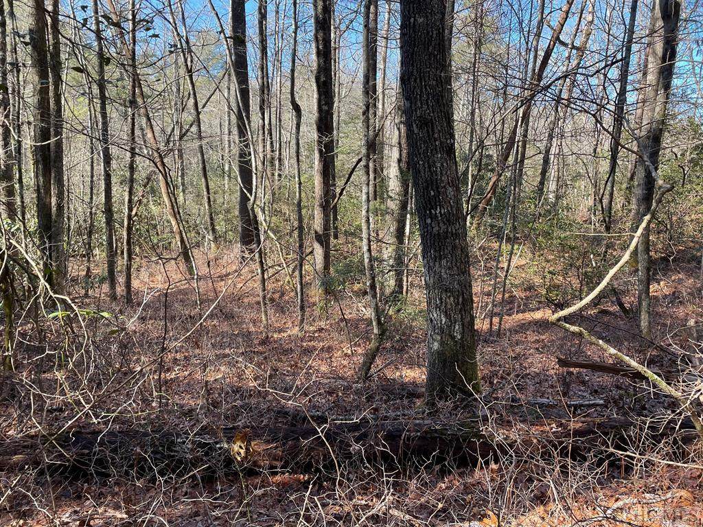 Lot 114 Whiterwater Road - Photo 1