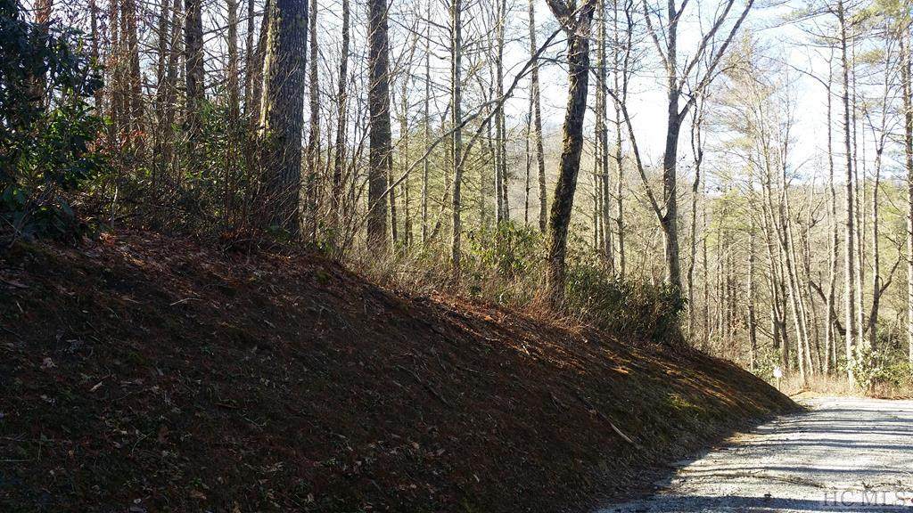 Lot 71 Fishing Village Lane - Photo 1