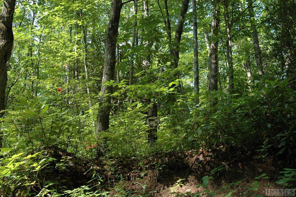 Lot 16 Zeb Alley Road - Photo 1