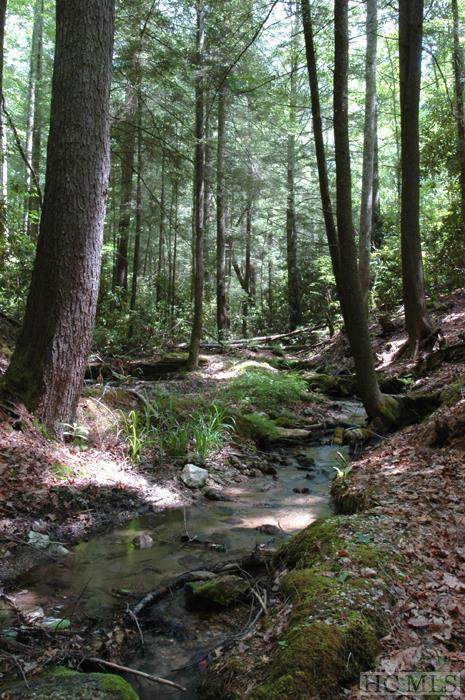 Lot 1A Streamside Drive - Photo 1