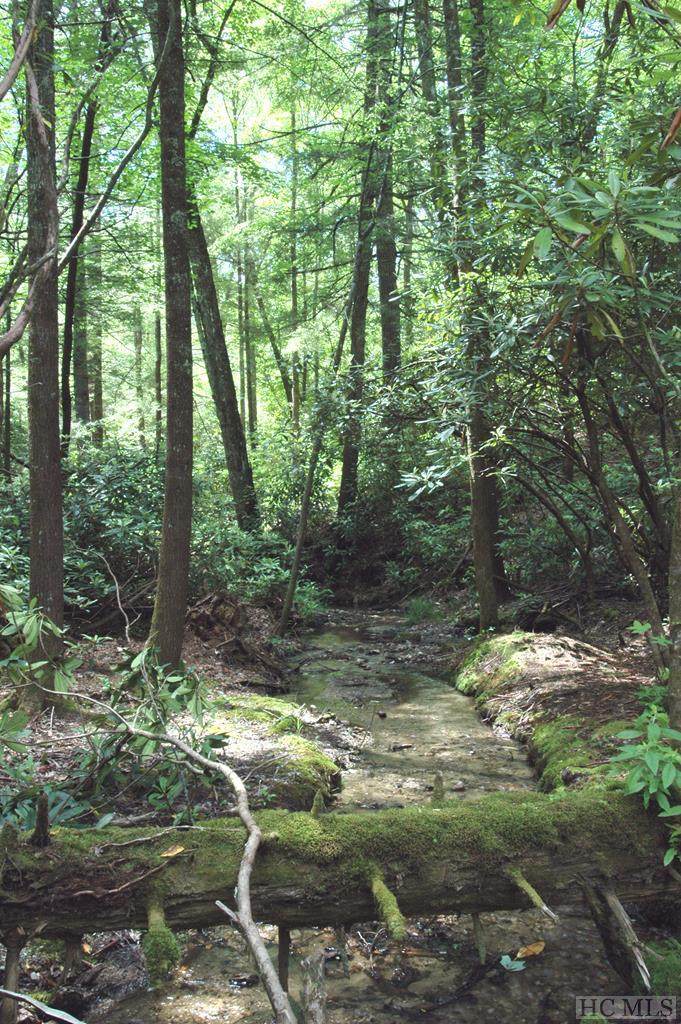 Lot 2B Fly Fishing Lane - Photo 1