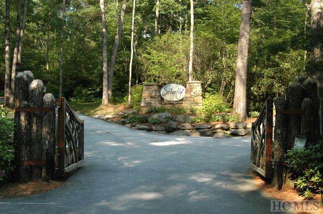 Lot 10B Streamside Drive - Photo 1