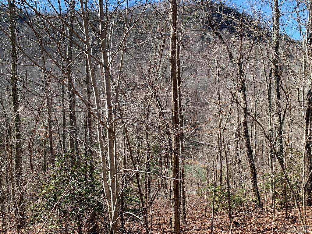 2408 Pilot Knob Road - Photo 1