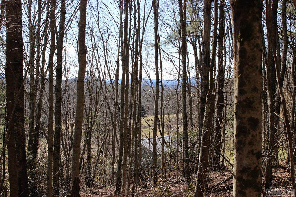 TBD Buck Creek Road - Photo 1