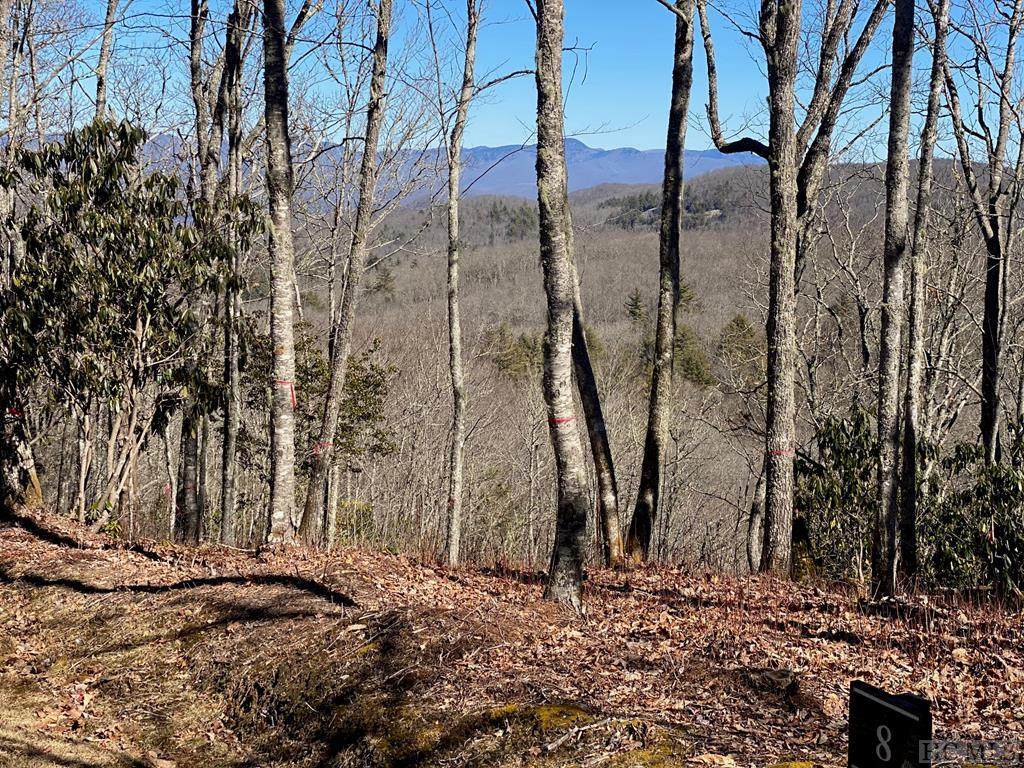 Lot 8 Trailhead Way - Photo 1
