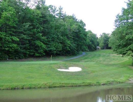 lot 5 Cottonwood Court - Photo 1
