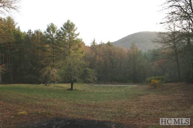 0 Black Bear Trail - Photo 1